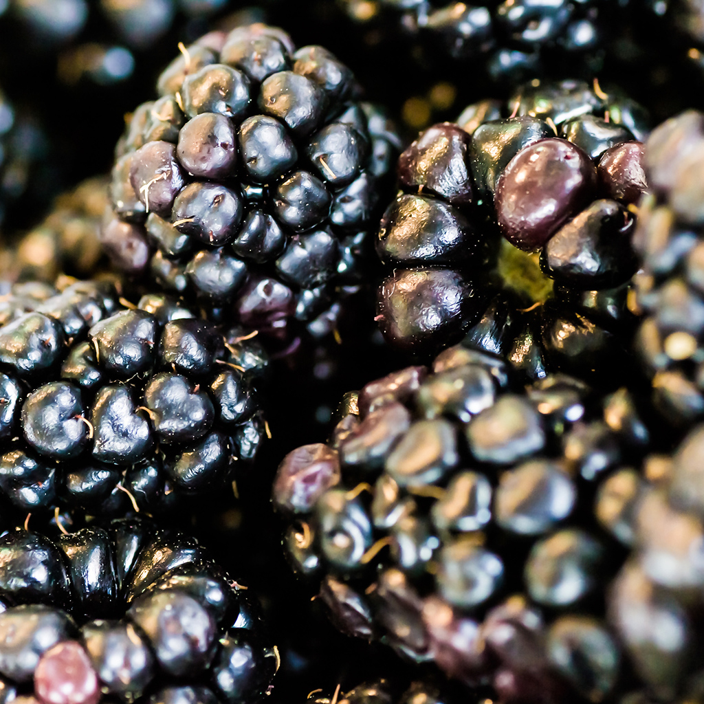 Crafter's Choice™ Blackberry Amber* - EO & FO Blend 825