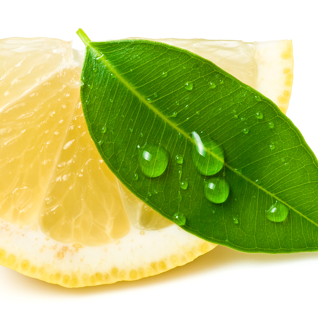Crafter's Choice™ Lemon Eucalyptus EO - Certified 100% Pure 598