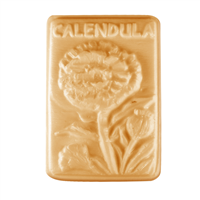 Calendula Soap Mold (MW 322)