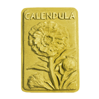 Calendula Soap Mold (MW 322)