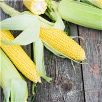 Farmers Market Sweet Corn FO (Special Order)