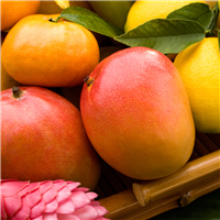 Mandarin Mango* Fragrance Oil (Special Order)