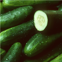 Cucumber Fragrance Oil - FF# 6 - 11853