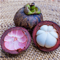 Mangosteen & Beautyberry Fragrance Oil (Special Or
