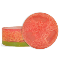 Watermelon Luffa MP Soap Kit