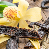 Vanilla Cedar - Natural Fragrance Oil 1185