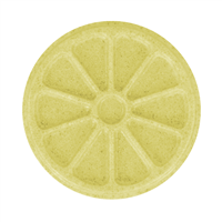 Citrus Slice Soap Mold (MW 97)