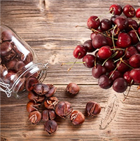 Cherries & Chestnuts (KY) Fragrance Oil 15180