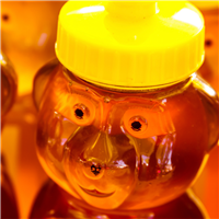 Honey Bear Fragrance Oil 198