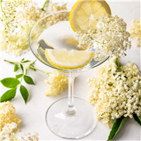 Elderflower & Agave Fragrance Oil 1266