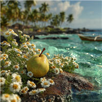 Anjou Drift Fragrance Oil 1139