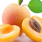 Apricot & Honey Fragrance Oil 14928
