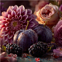 Blackberry Dahlia Fragrance Oil 1088