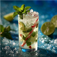 Candy Cane Mojito Fragrance Oil 1002