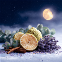 Celestial Chill Fragrance Oil 1126