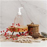 Foaming Cranberry Hand Soap Kit