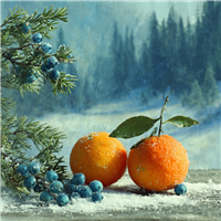 Juniper Hollow Fragrance Oil 1108