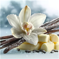 Satin Sugar Fragrance Oil 1120