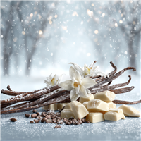 Satin Sugar Fragrance Oil 1120