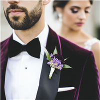 Velvet Tuxedo Fragrance Oil 893