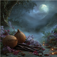 Wicked Vanilla Woods* Fragrance Oil 1092