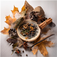 Fall & Winter 2024 Fragrance Collection