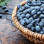 Blueberry Fragrance Oil 15038