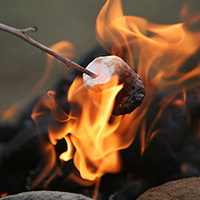 Campfire Marshmallow Fragrance Oil 15143