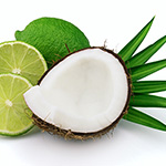 Coconut Lime Verbena Fragrance Oil 15253