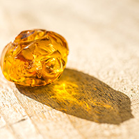 Gilded Amber Fragrance Oil 15575