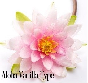 Aloha Vanilla* Fragrance Oil 19774