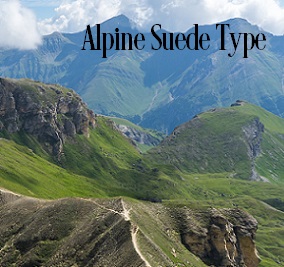 Alpine Suede* Fragrance Oil 19776