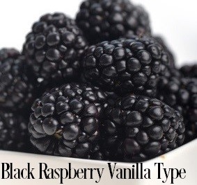 Black Raspberry Vanilla* Fragrance Oil 19832