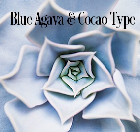 Blue Agava & Cacao* Fragrance Oil 19838