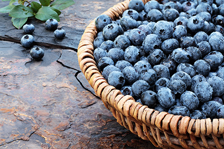 Blueberry Fragrance Oil 15038