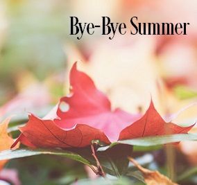 Bye Bye Summer Fragrance Oil 19872