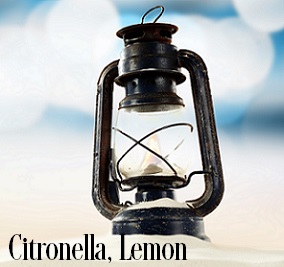 Citronella (Lemon) Fragrance Oil 19935