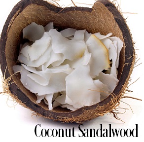 Coconut & Sandalwood* Fragrance Oil 19946