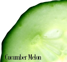 Cucumber Melon Fragrance Oil 19980