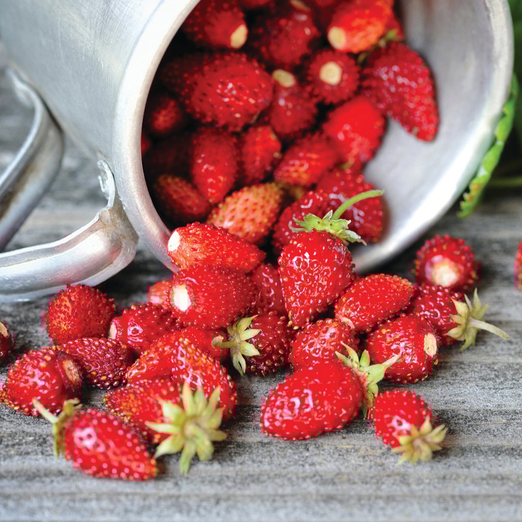 Wild Strawberry Fragrance Oil 958