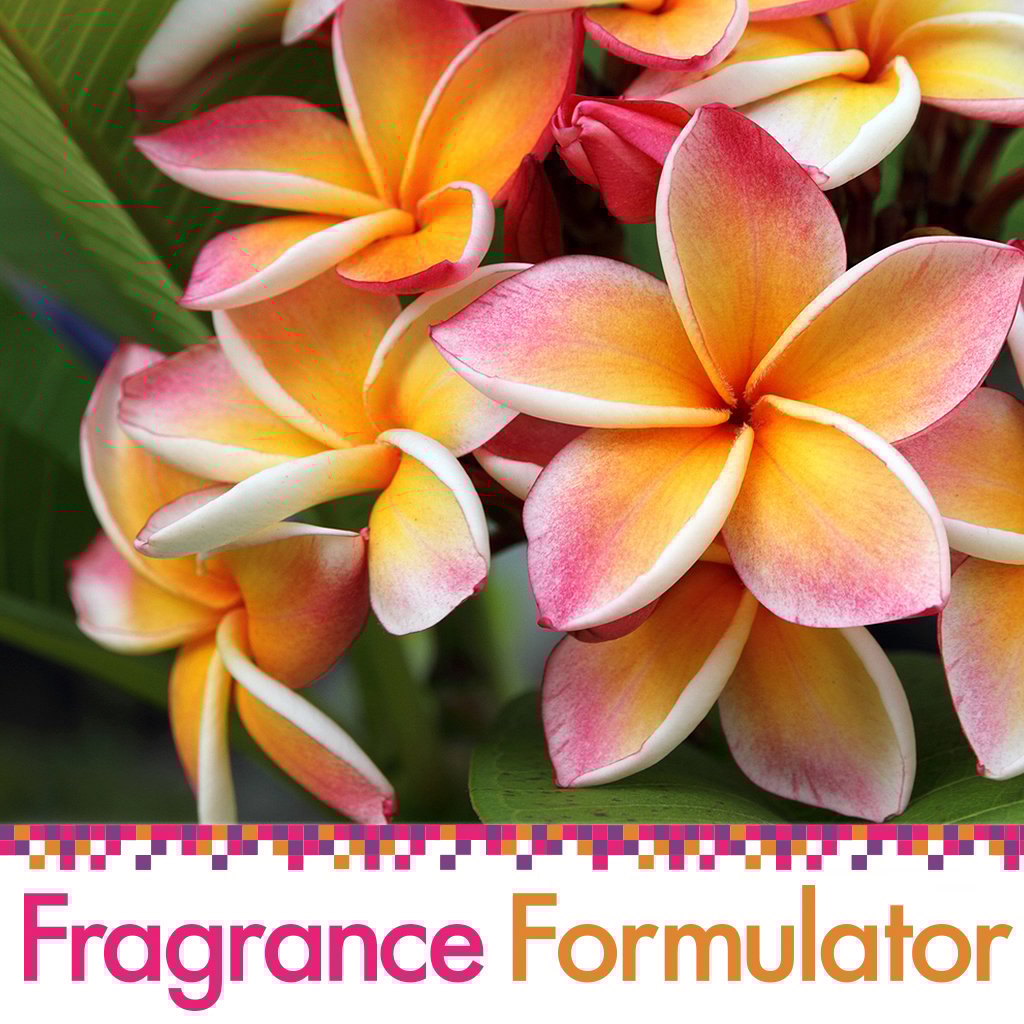 Spiced Floral Fragrance Oil - FF# 18 (Special Orde