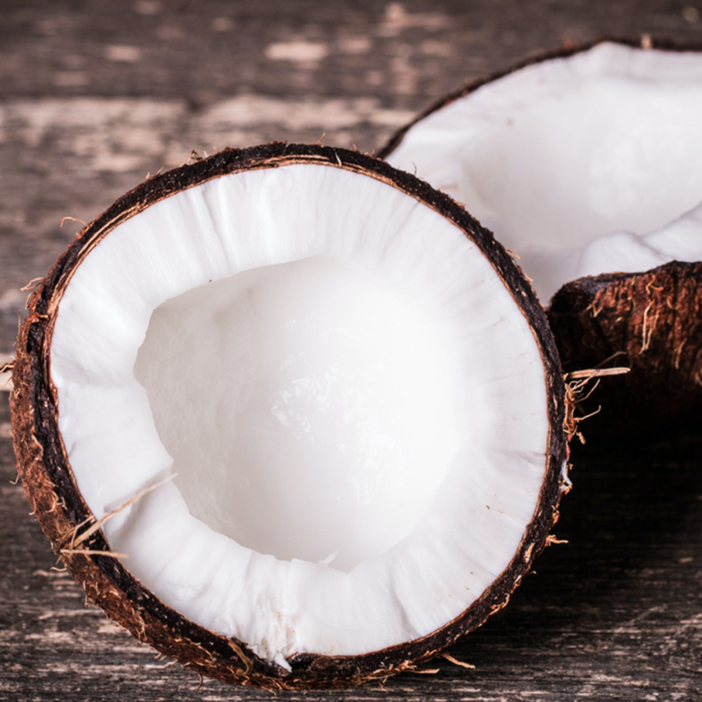 Coconut Fragrance Oil - FF# 23 (Special Order)