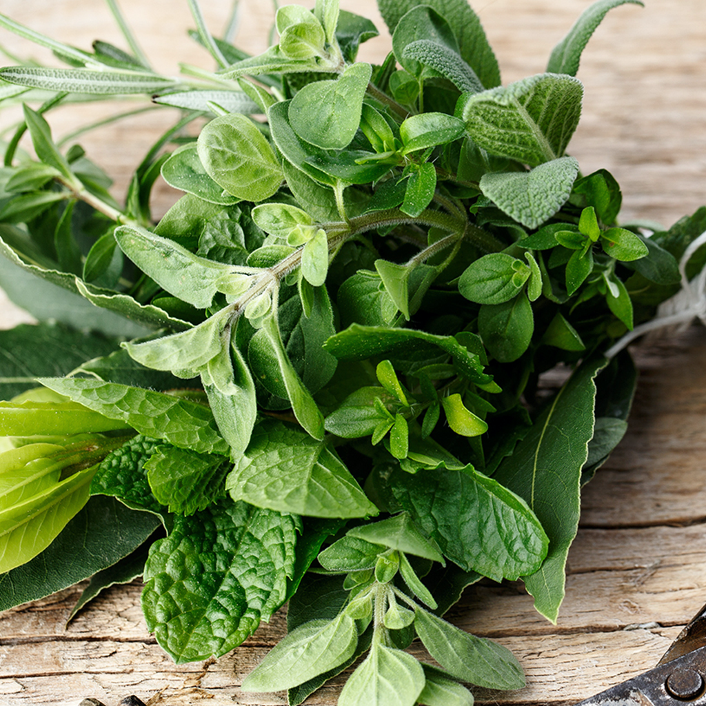 Green Herbal Fragrance Oil - FF# 39 (Special Order