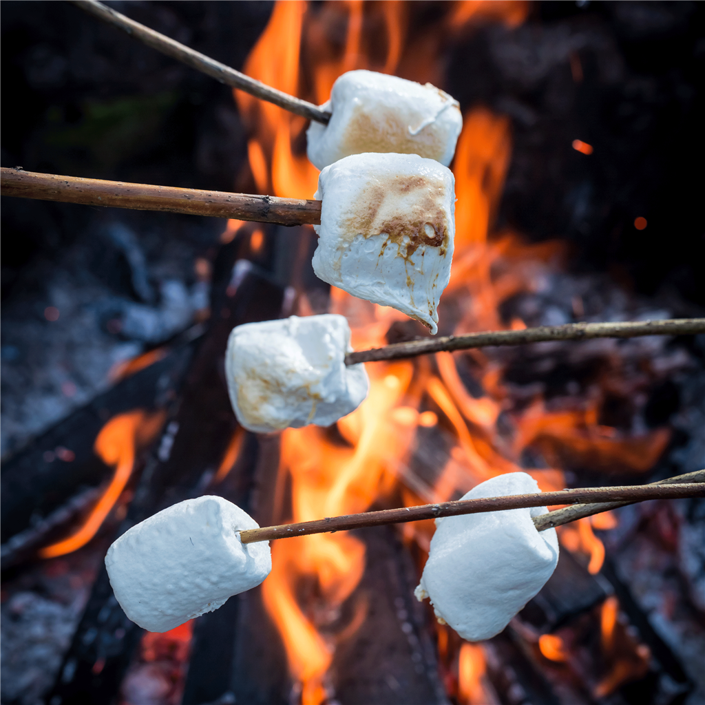 Campfire Marshmallow Fragrance Oil 995