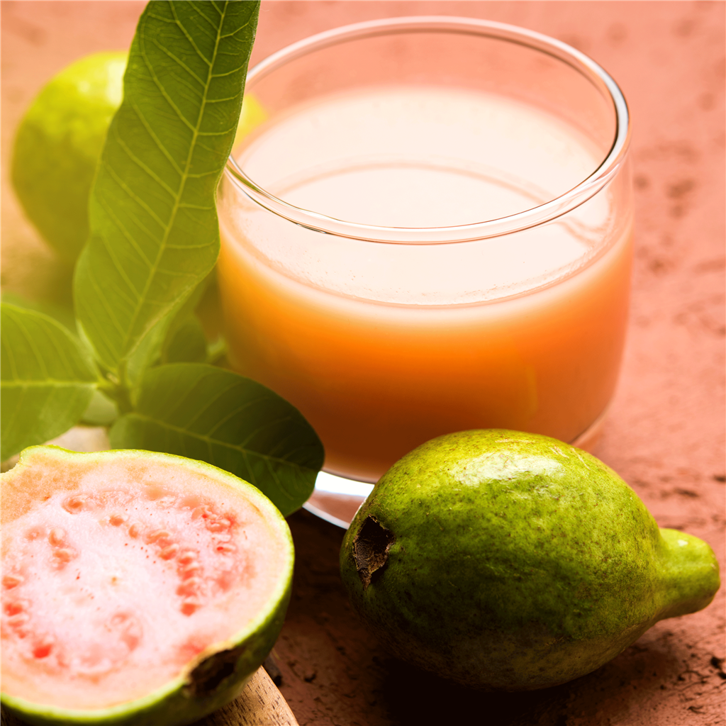 Guava Mojito Fragrance Oil (Special Order)