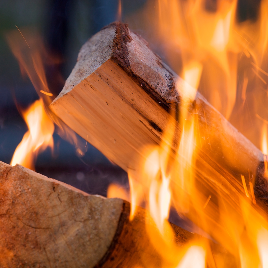Charred Sandalwood Fragrance Oil 953
