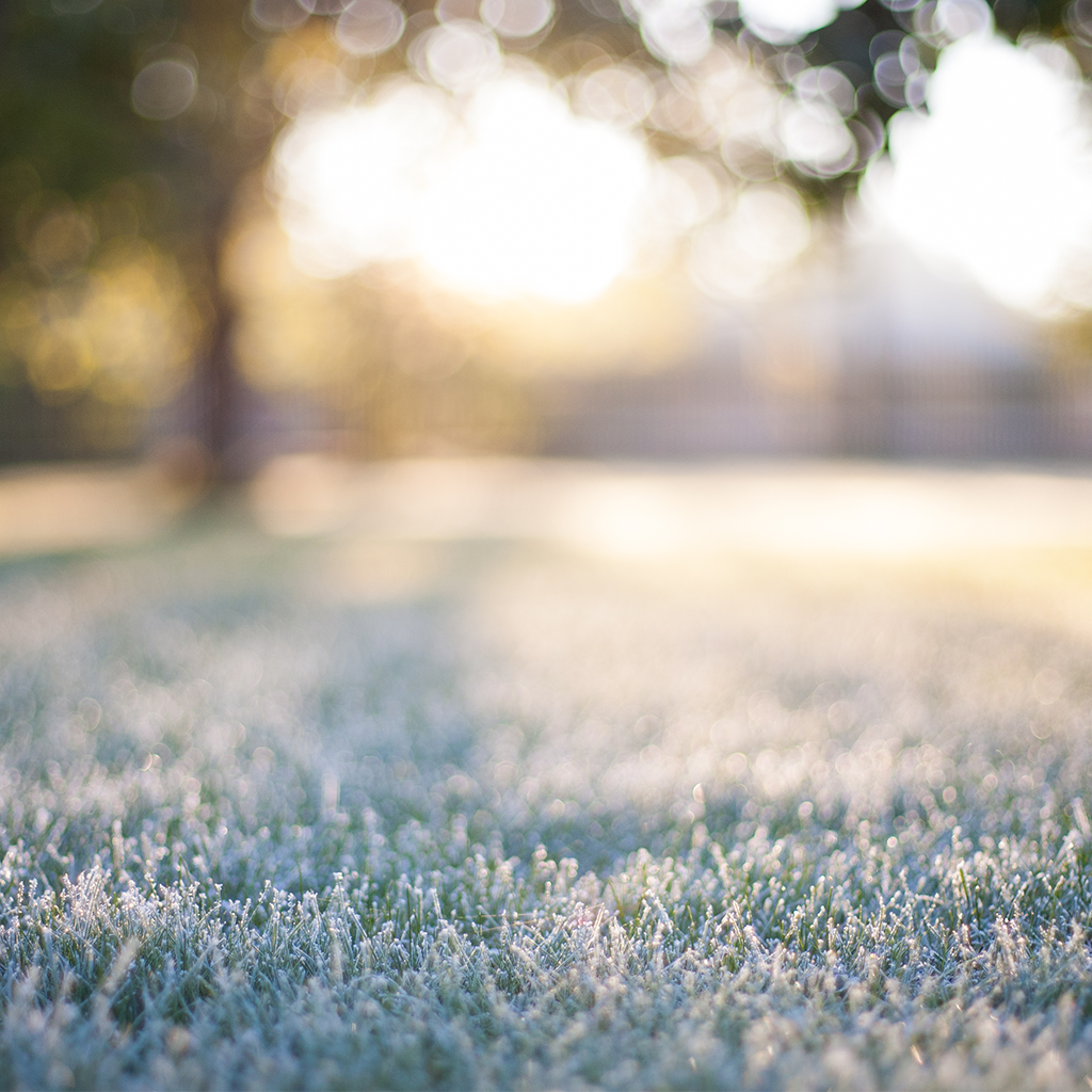 Crisp Morning Air* Fragrance Oil 293