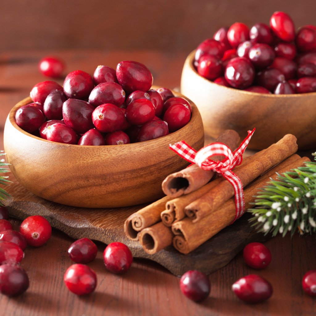 Spiced Cranberry Fragrance Oil 149