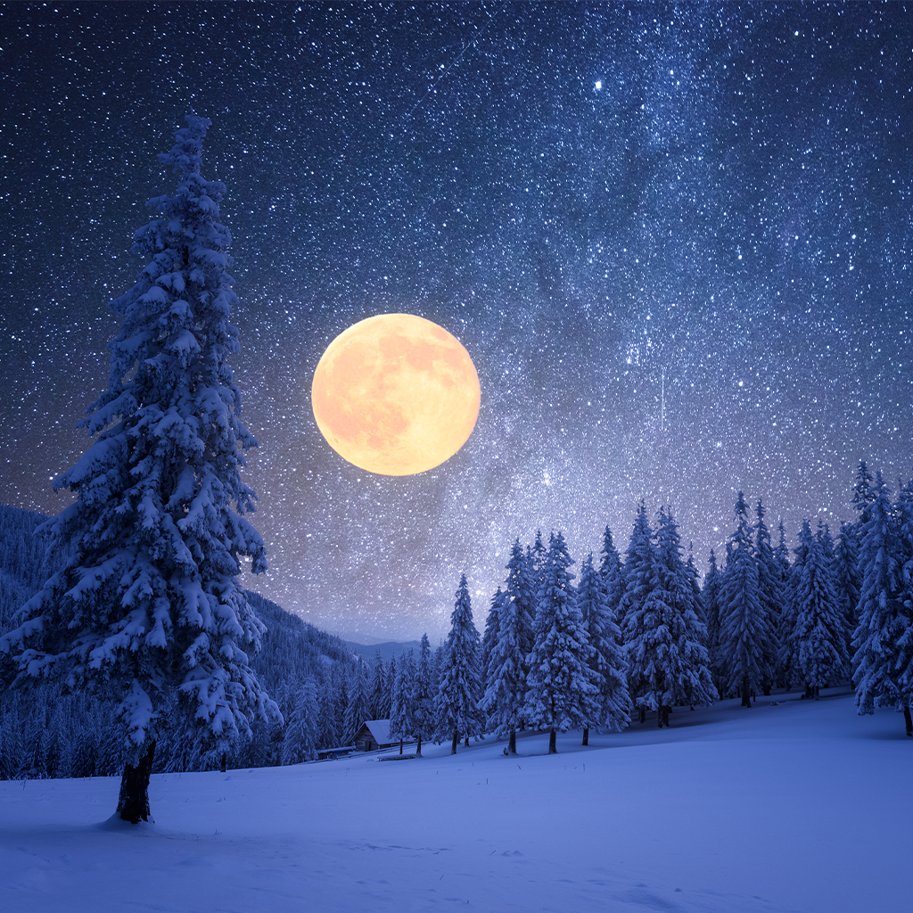 Winter Moon Fragrance Oil 1129