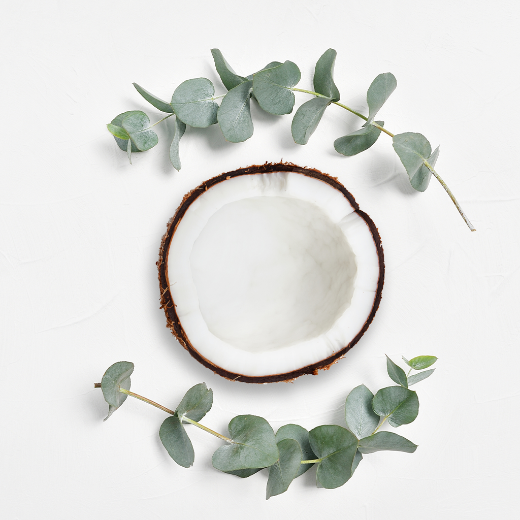 Coconut Eucalyptus* Fragrance Oil 902